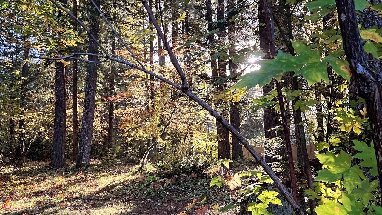 Photo of Outdoor in Carson