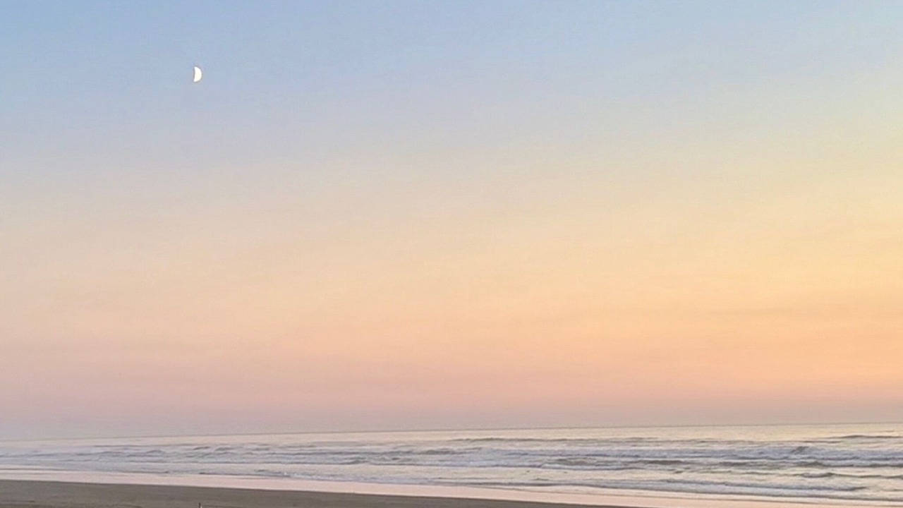 Photo of Others in Cohassett Beach