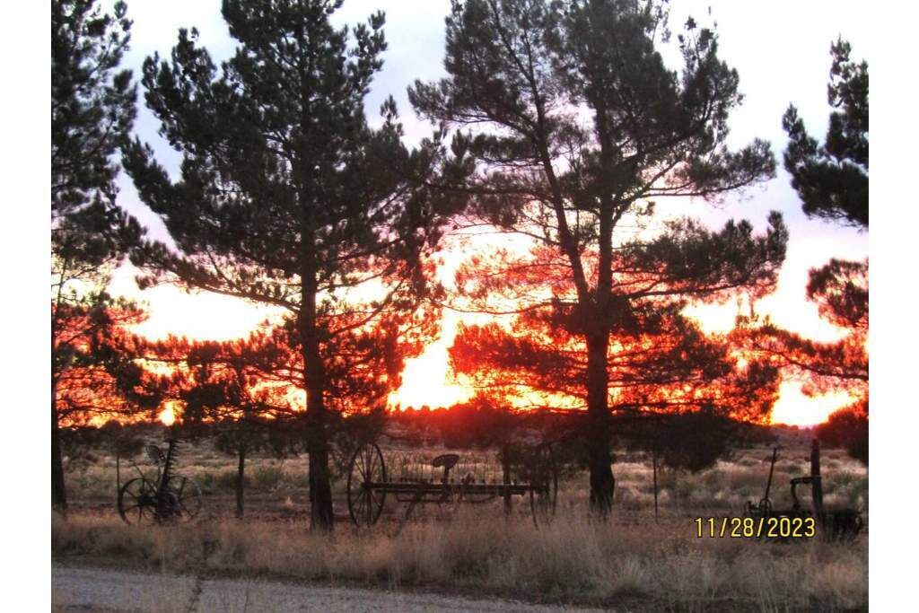 Photo of Outdoor in Cane Beds