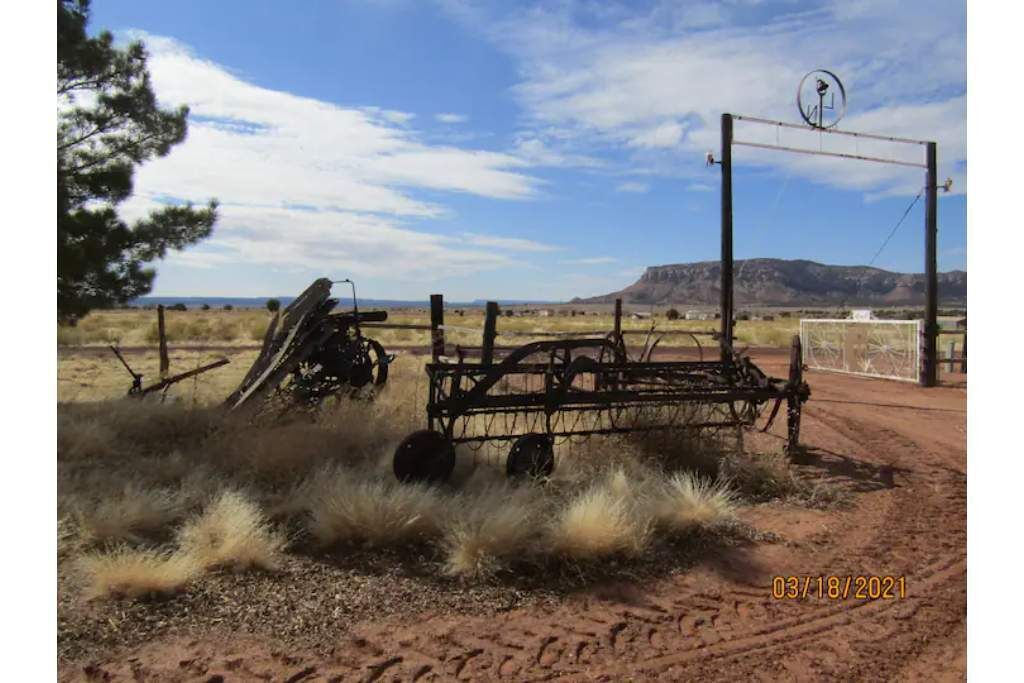 Photo of Others in Cane Beds