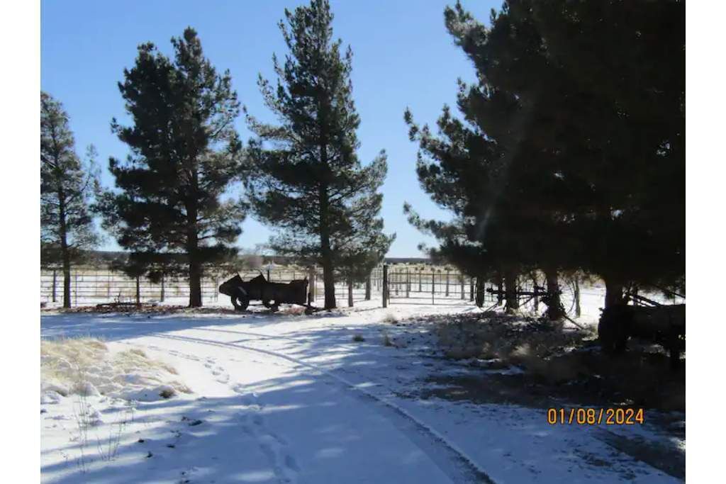 Photo of Outdoor in Cane Beds