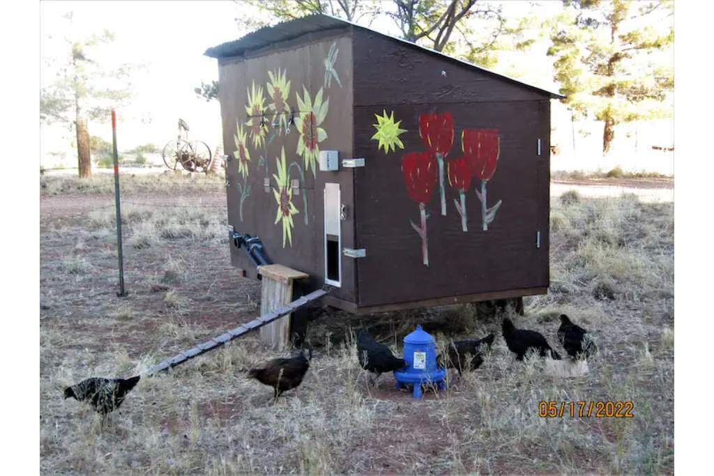 Photo of Outdoor in Cane Beds