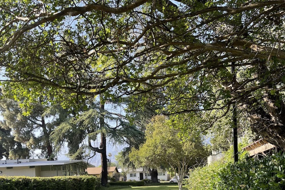 Photo of Outdoor in East Pasadena