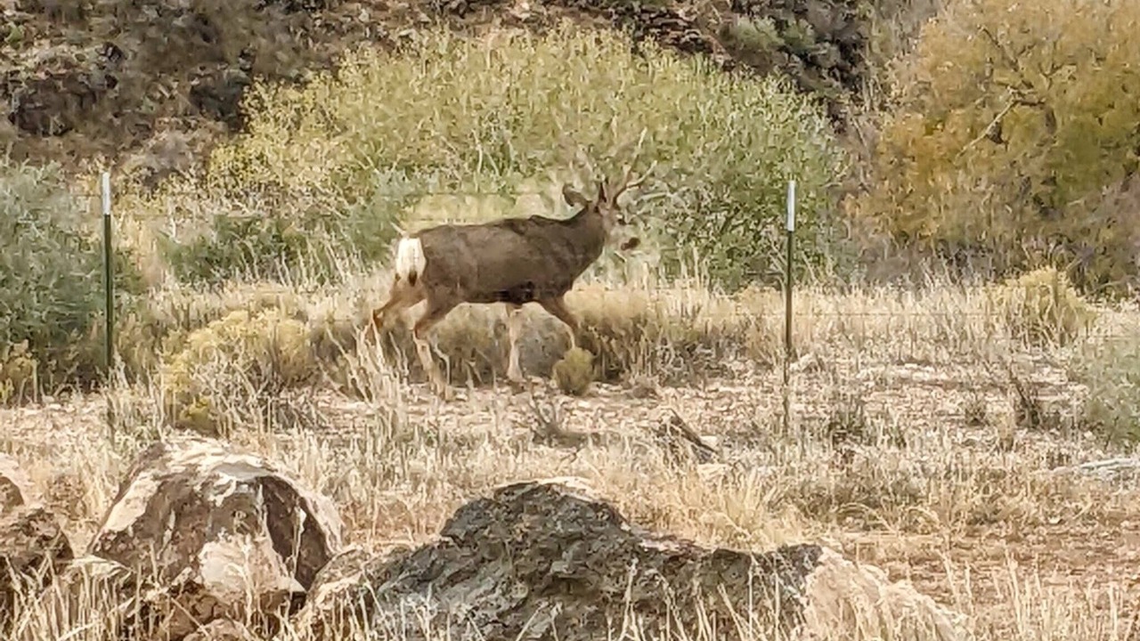 Photo of Outdoor in Toquerville