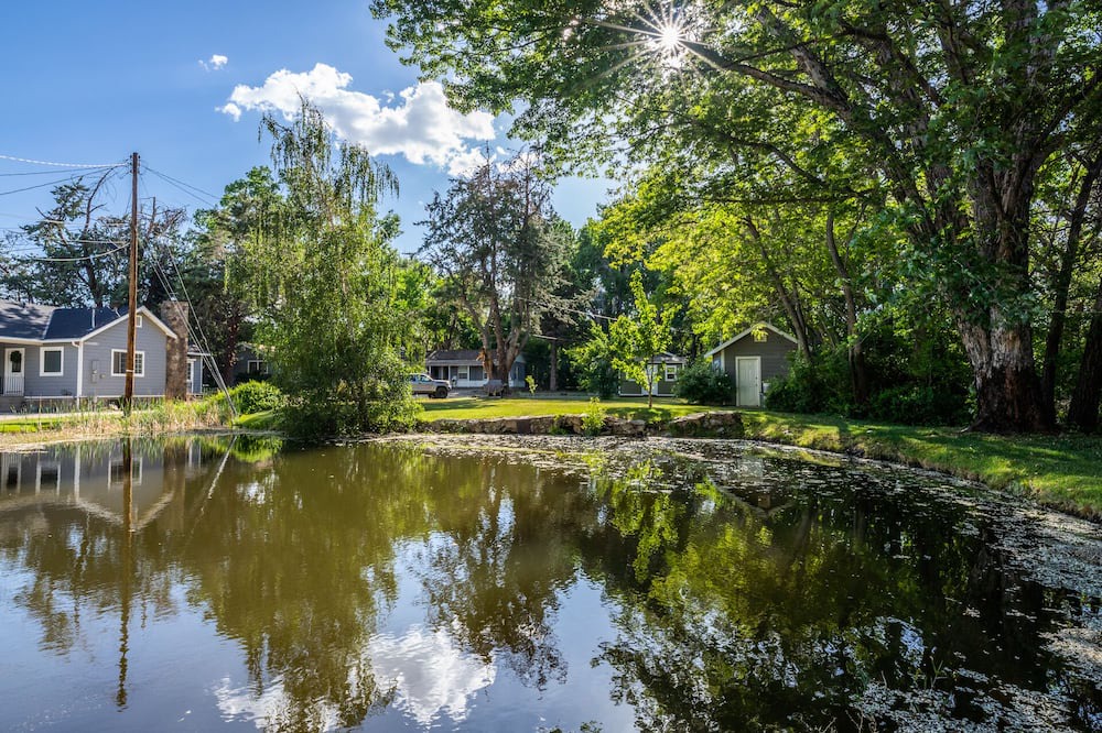 Photo of Outdoor in West Bishop