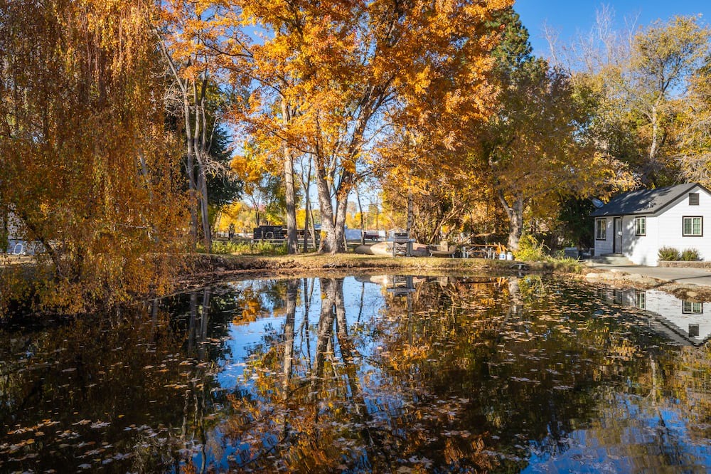 Photo of Outdoor in West Bishop