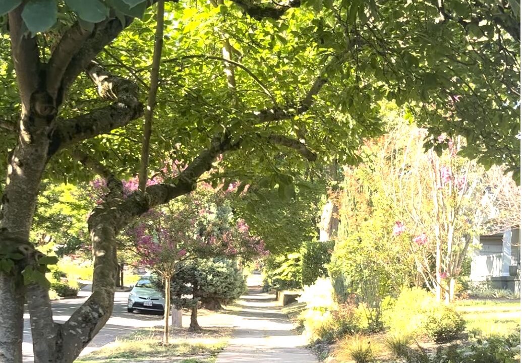 Photo of Outdoor in Irvington
