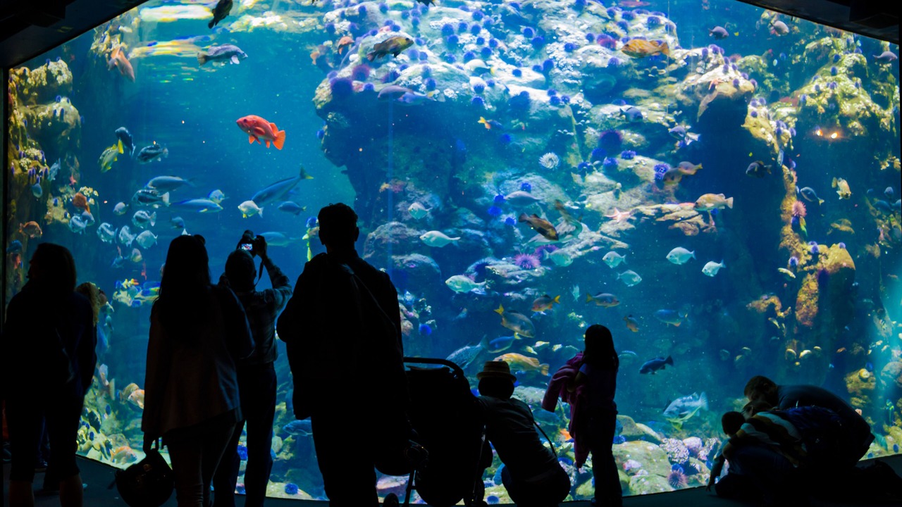 Photo of Others in Monterey