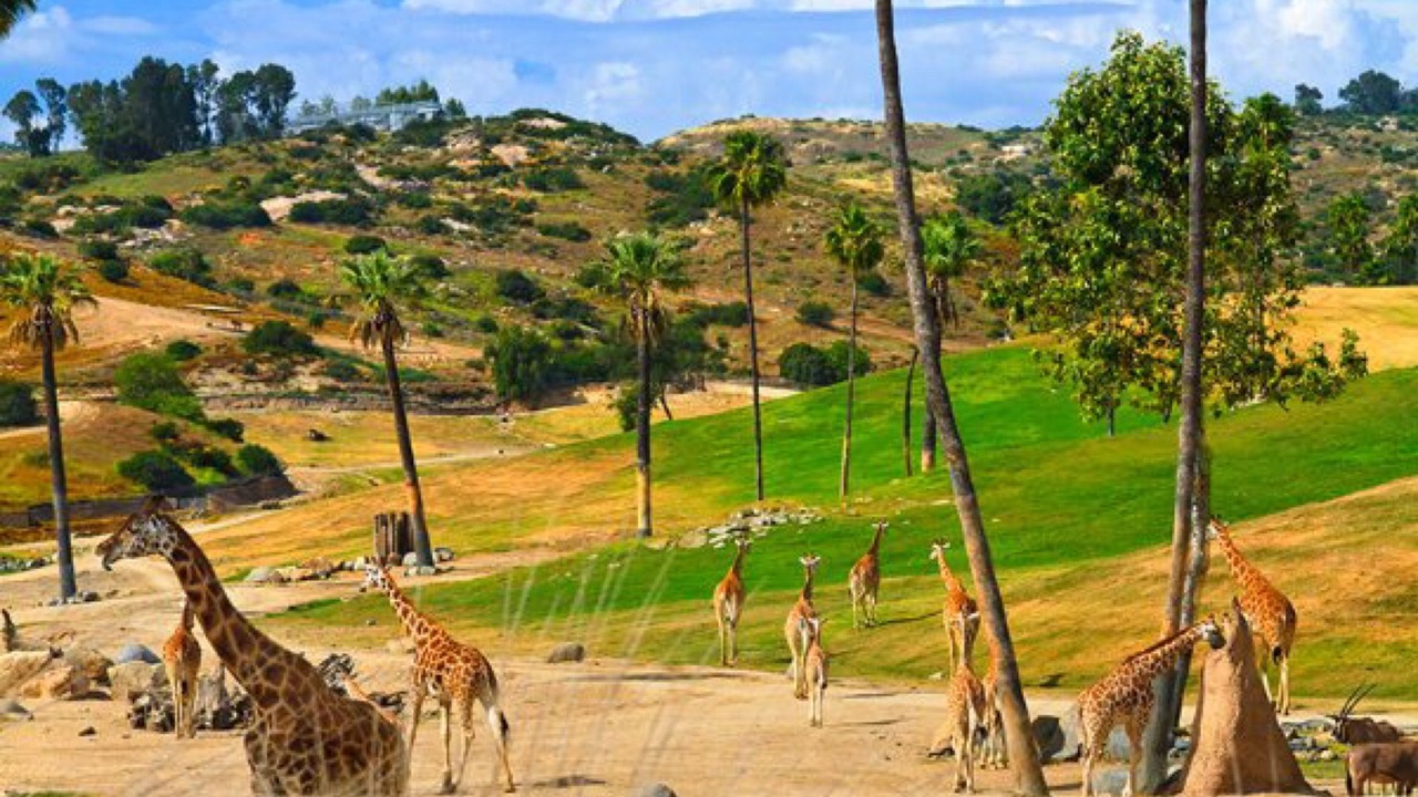 Photo of Others in La Playa