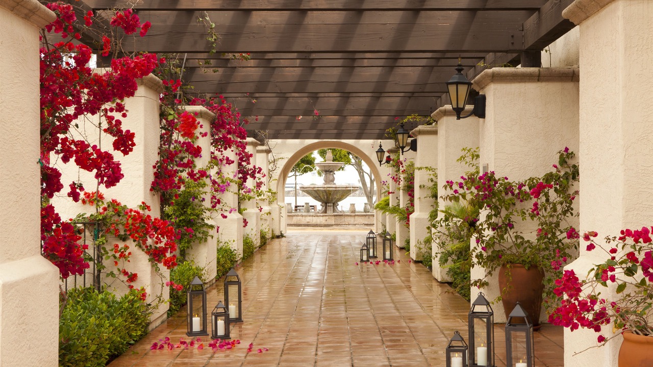 Photo of Outdoor in La Playa