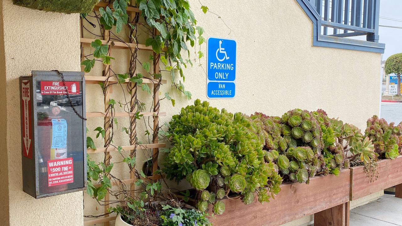 Photo of Outdoor in Marina