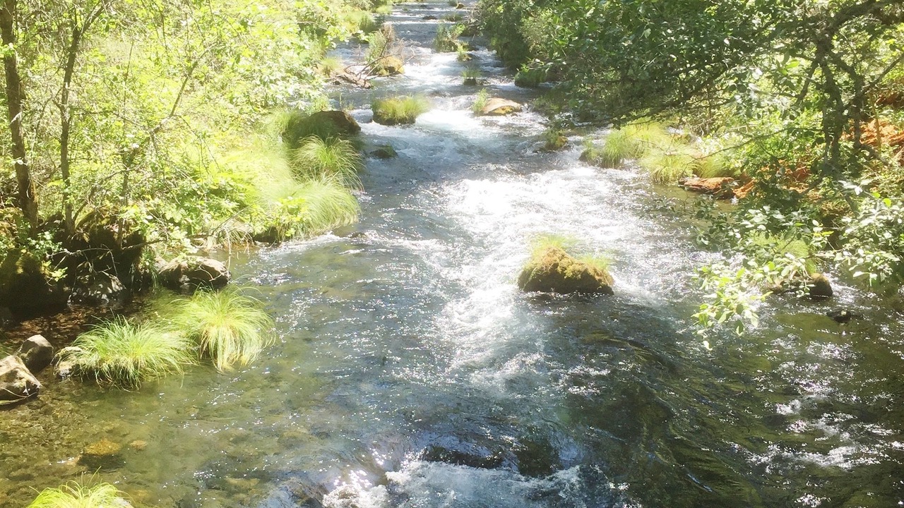 Photo of Others in Red Bluff