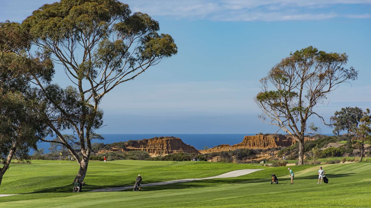 Photo of Others in Torrey Pines