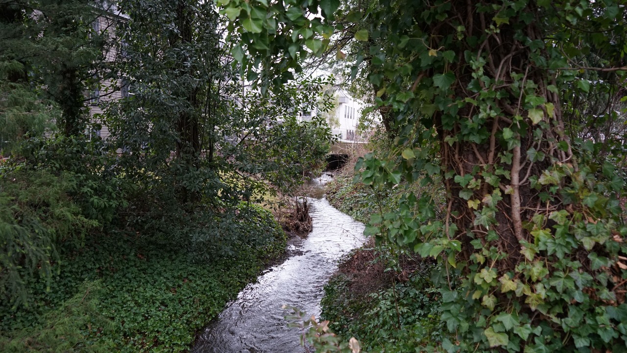 Photo of Outdoor in Meridian