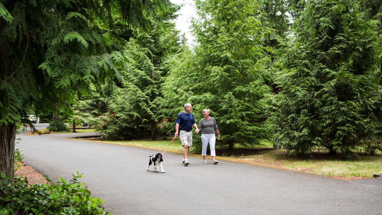 Photo of Others in Mount Hood Village