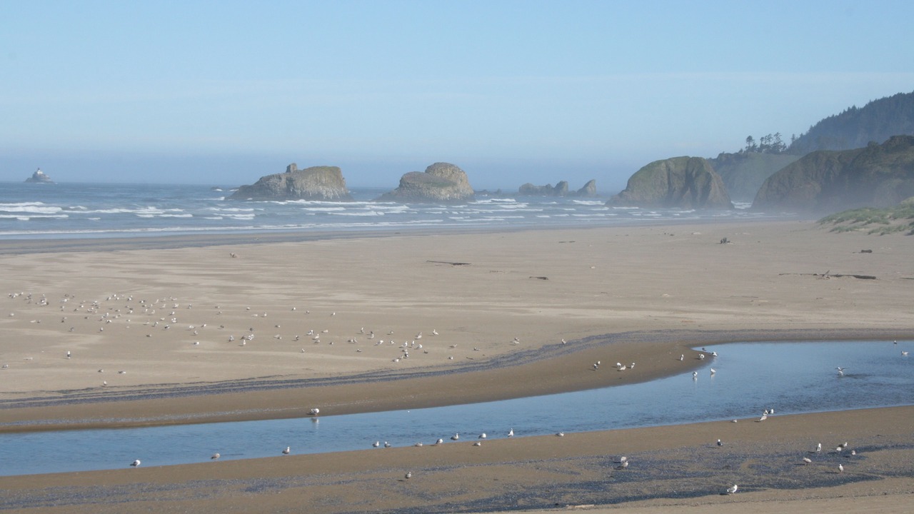 Photo of Others in Downtown Cannon Beach