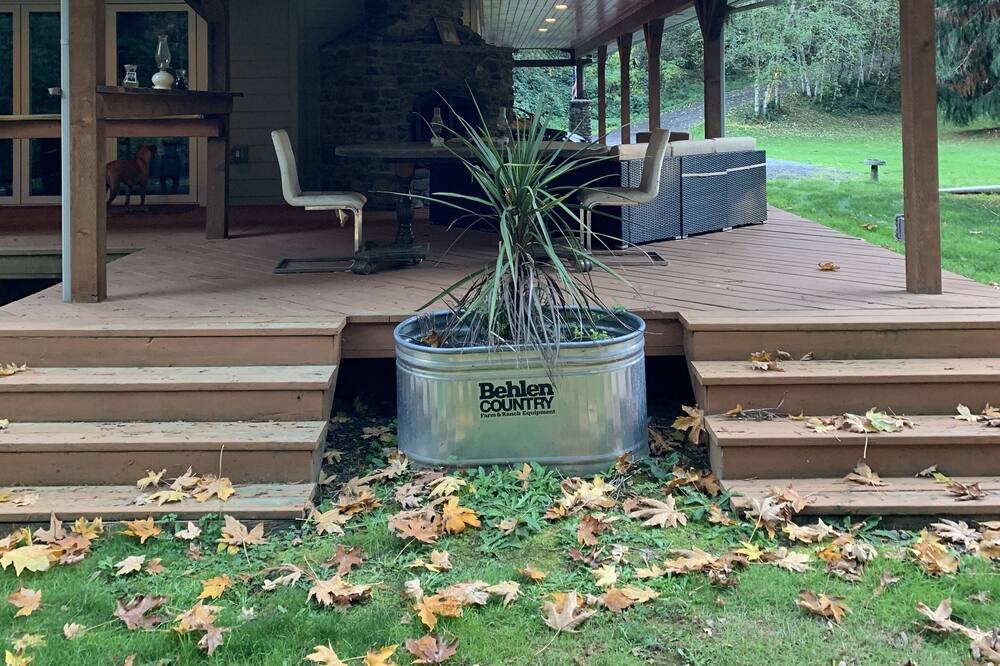 Photo of Outdoor in Woodland