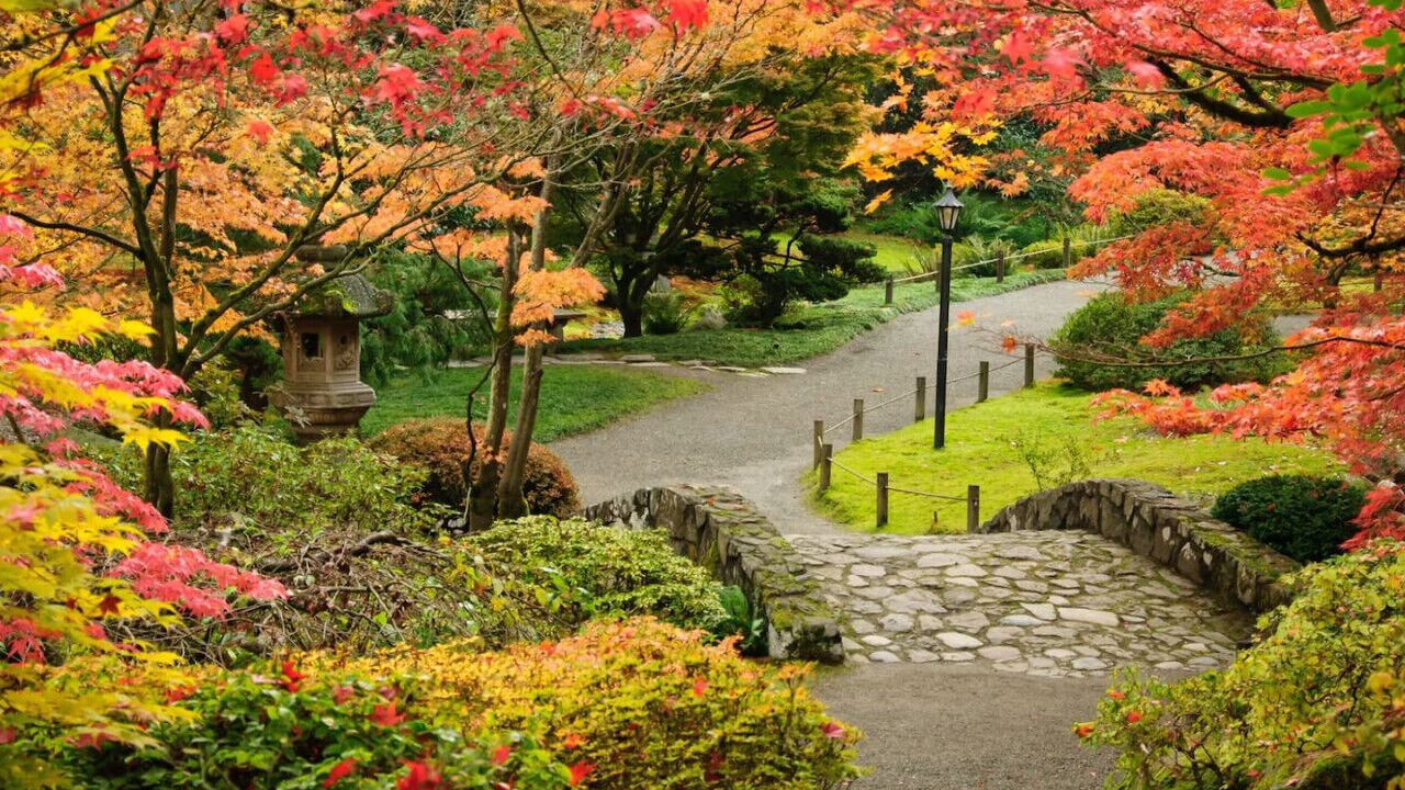 Photo of Outdoor in Green Lake