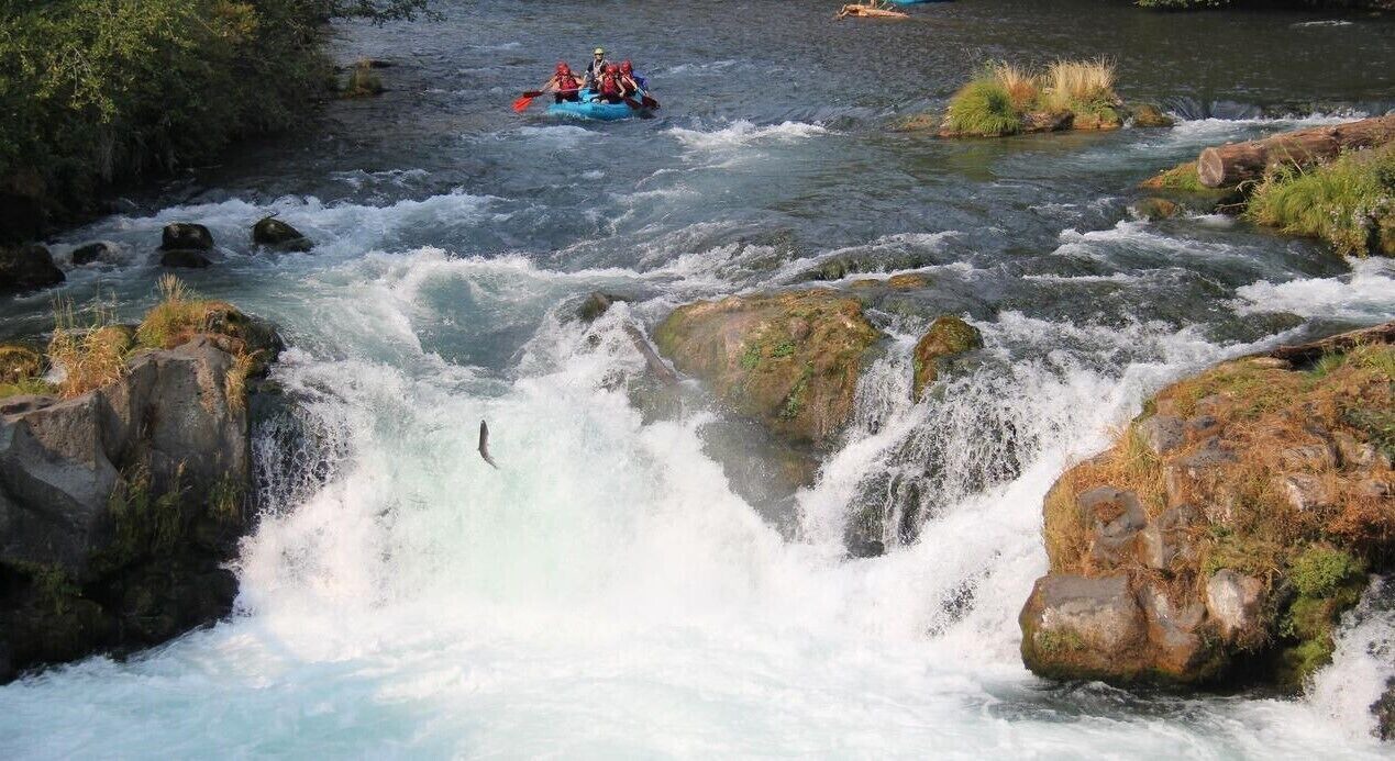 Photo of Others in White Salmon