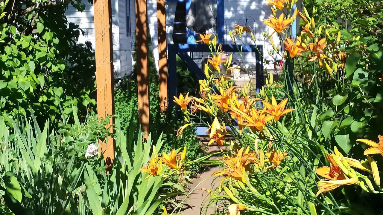 Photo of Outdoor in White Salmon