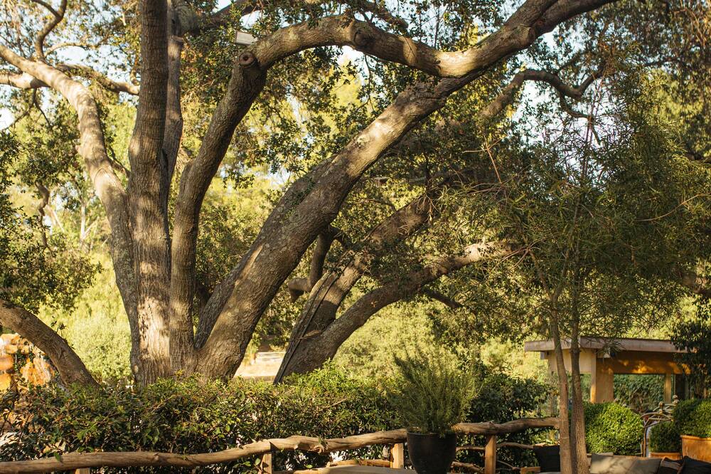 Photo of Outdoor in Malibu