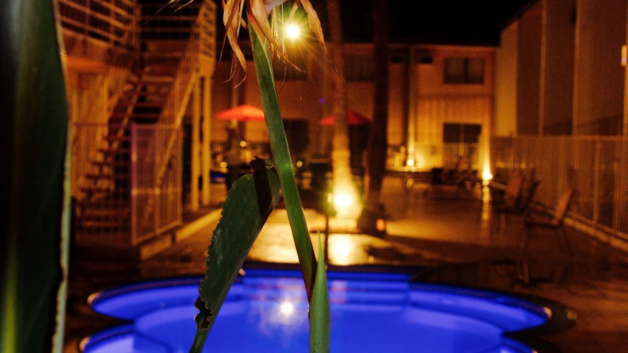 Photo of Outdoor in Tahquitz River Estates