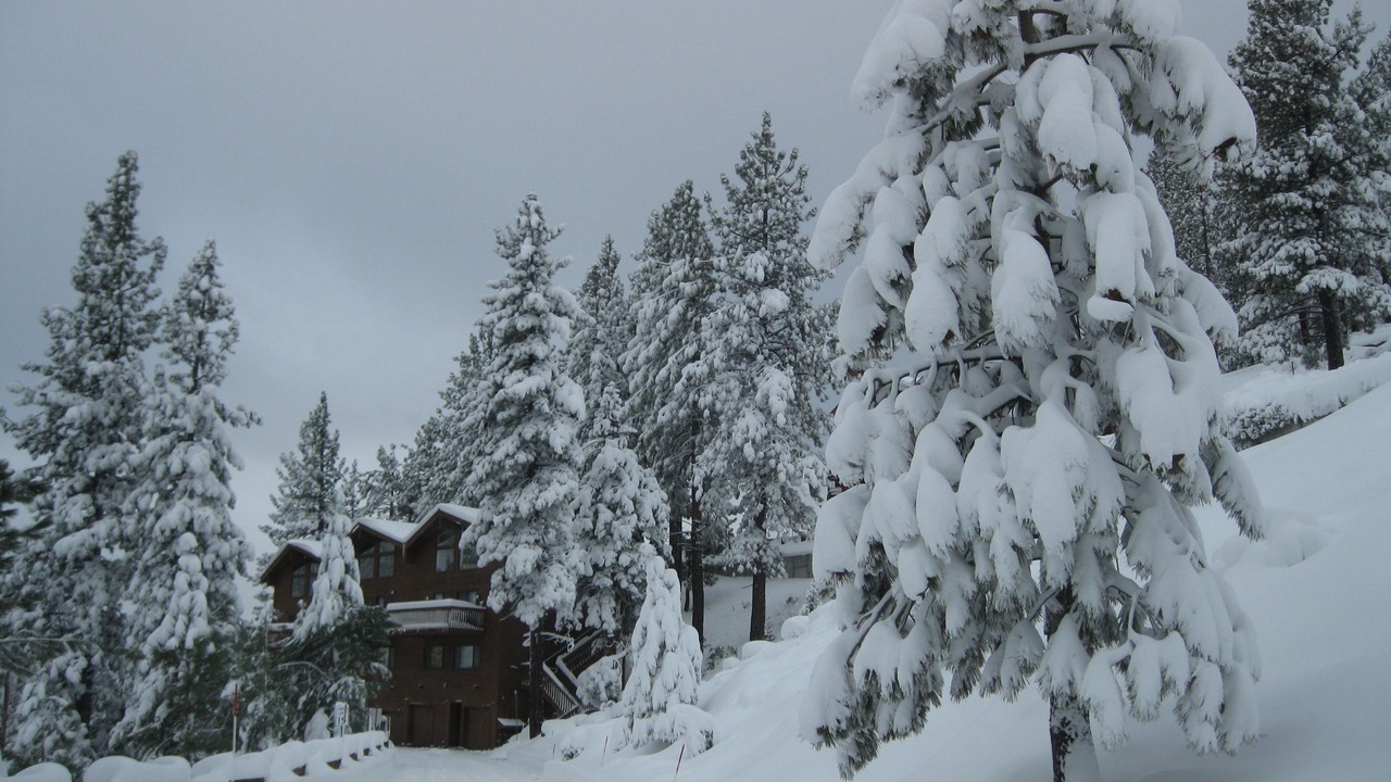 Photo of Outdoor in Incline Village