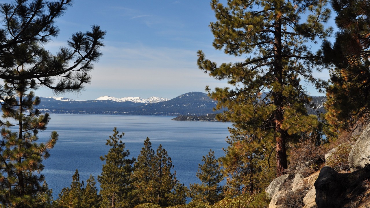 Photo of Others in Incline Village