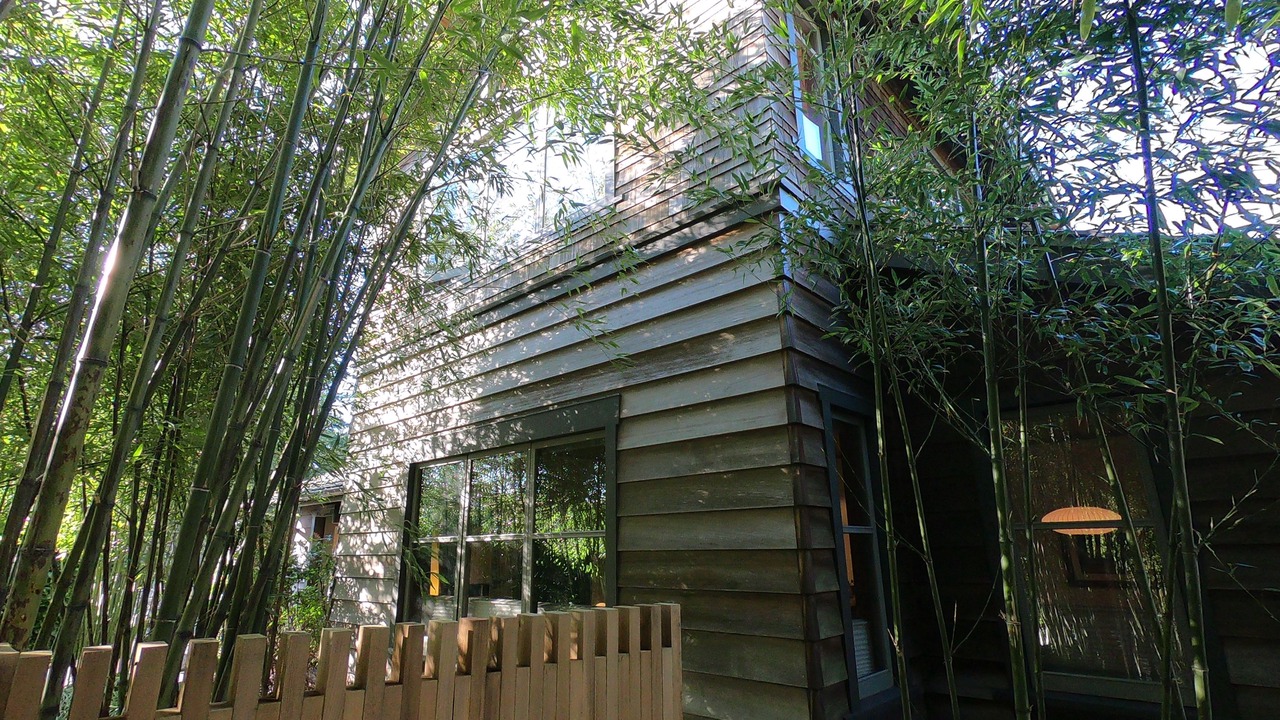 Photo of Bedroom in Manzanita