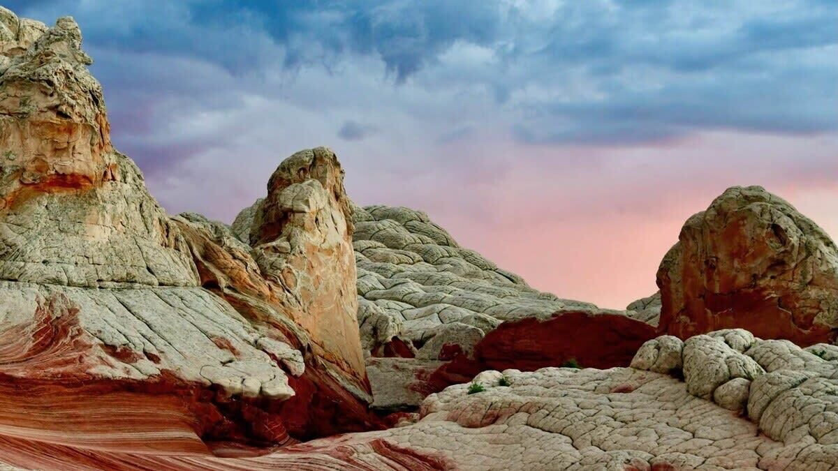 Photo of Others in Zion National Park East Entrance