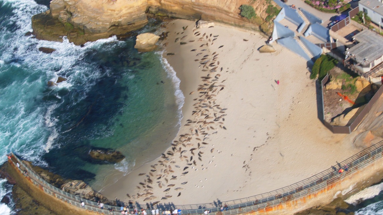 Photo of Outdoor in Village of La Jolla