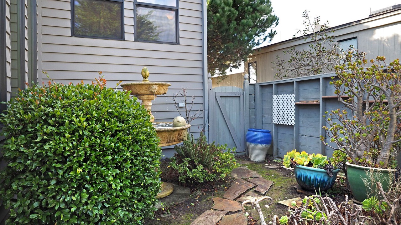 Photo of Outdoor in Bodega Bay