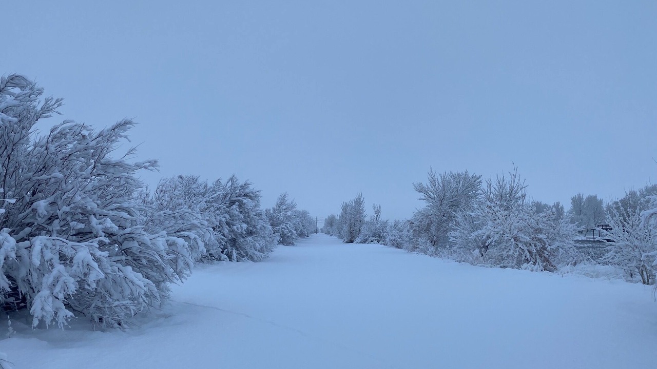 Photo of Outdoor in Olancha