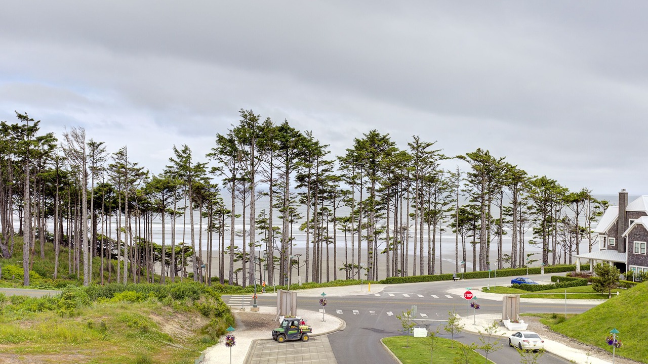 Photo of Others in Seabrook