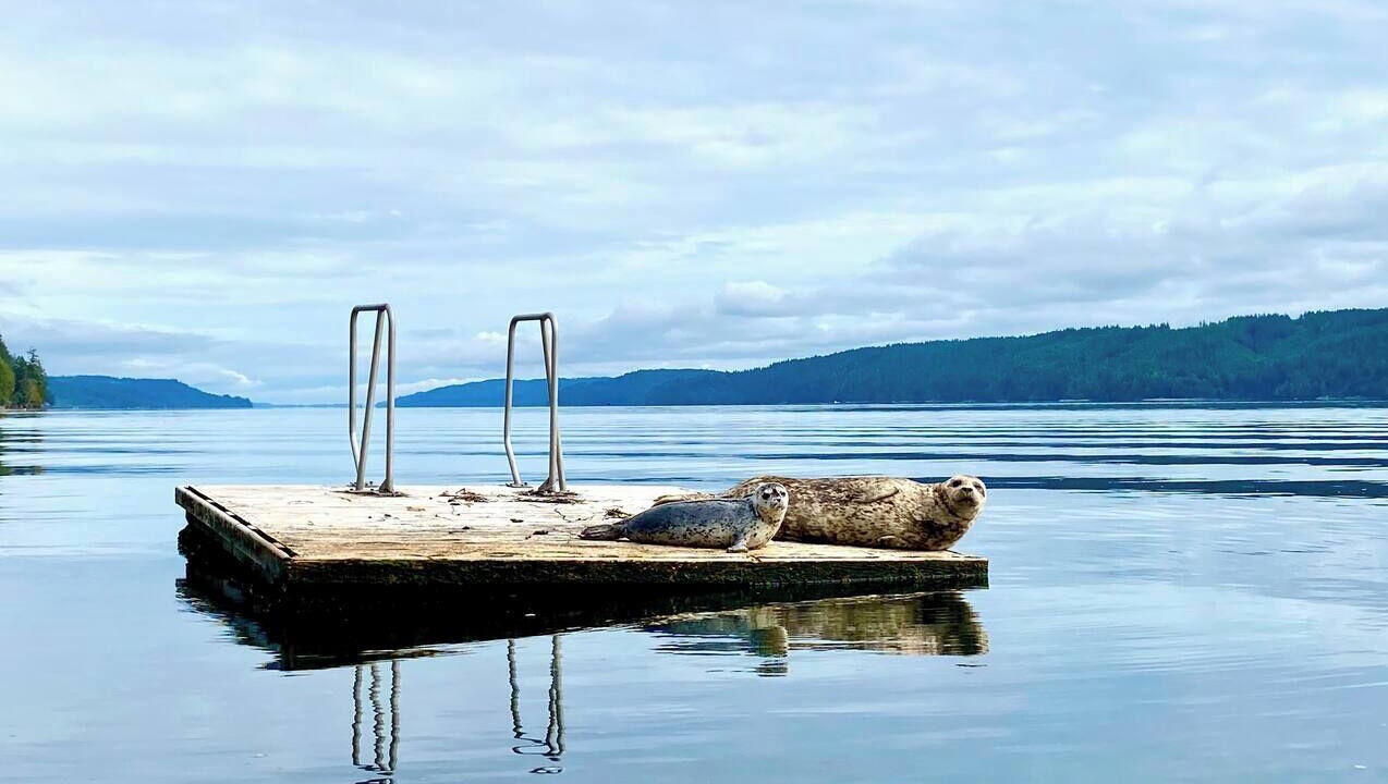 Photo of Outdoor in Hoodsport
