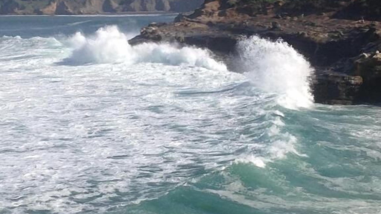 Photo of Others in Village of La Jolla