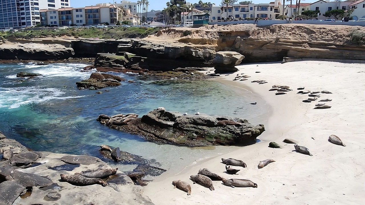 Photo of Others in Village of La Jolla