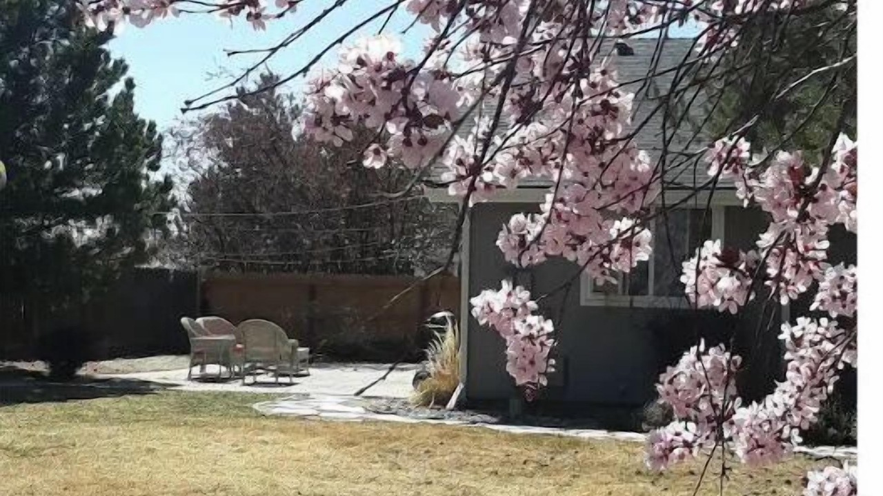 Photo of Outdoor in Northwest Reno