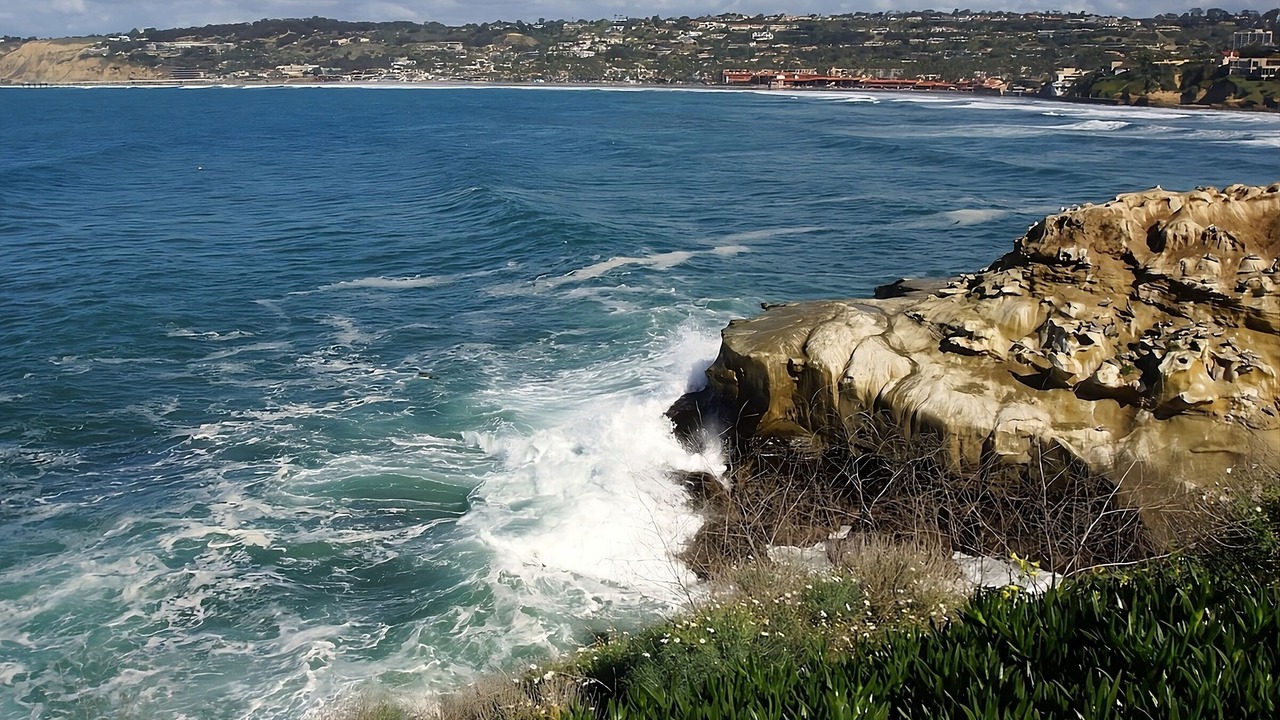 Photo of Others in Village of La Jolla