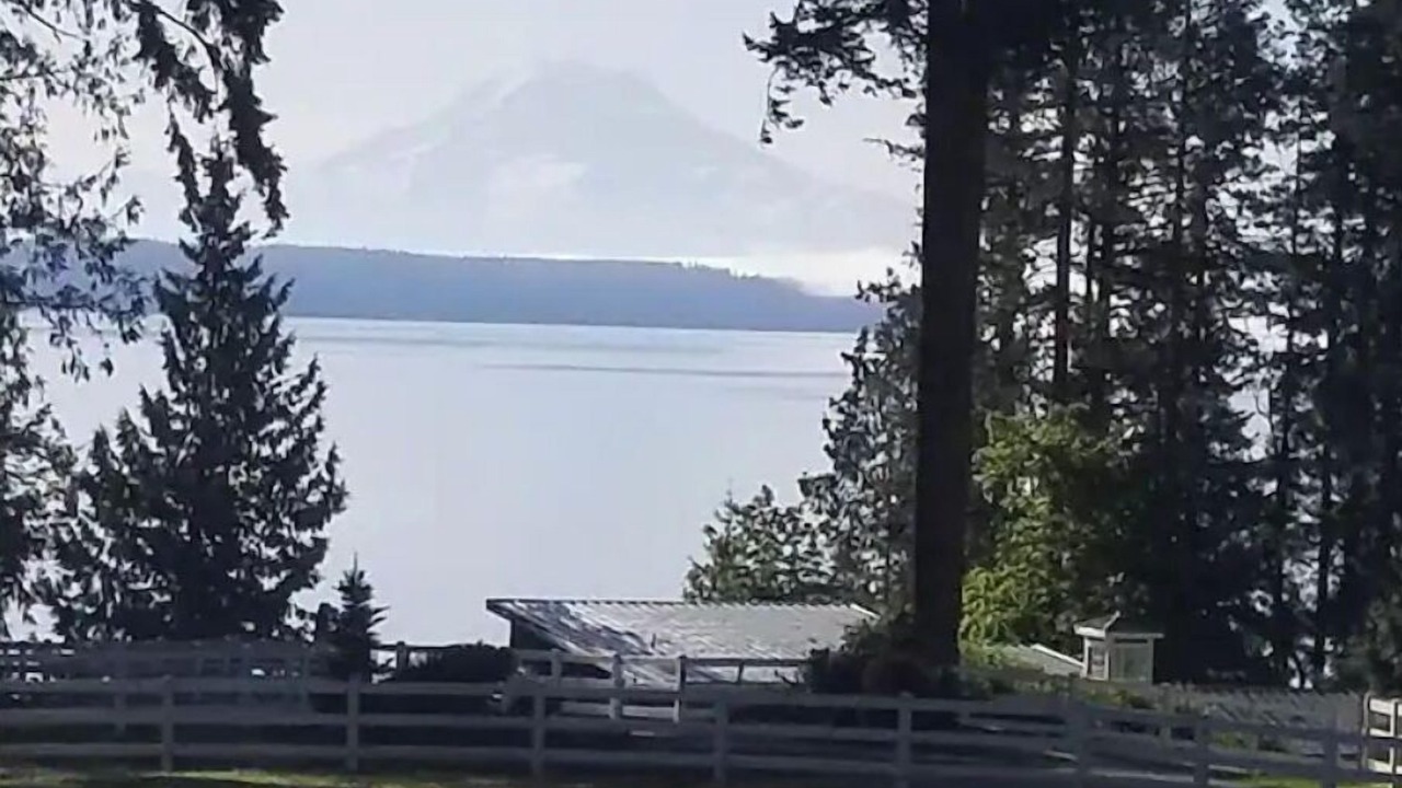 Photo of Outdoor in Lakebay
