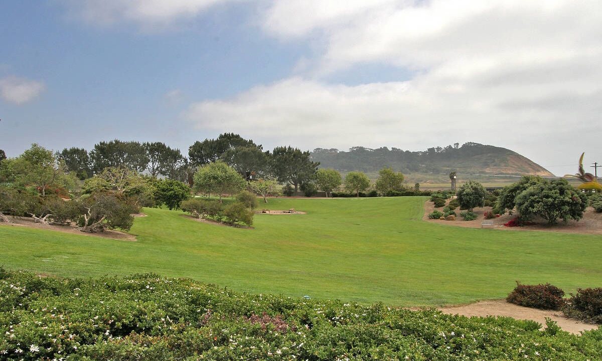 Photo of Others in Del Mar Heights