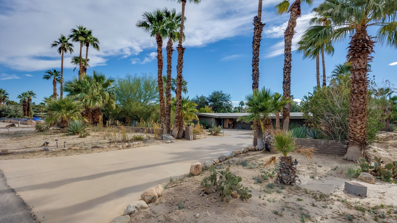 Photo of Outdoor in Borrego Springs