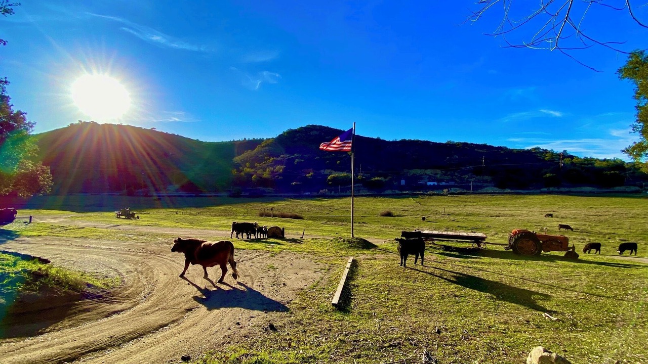 Photo of Outdoor in Alpine