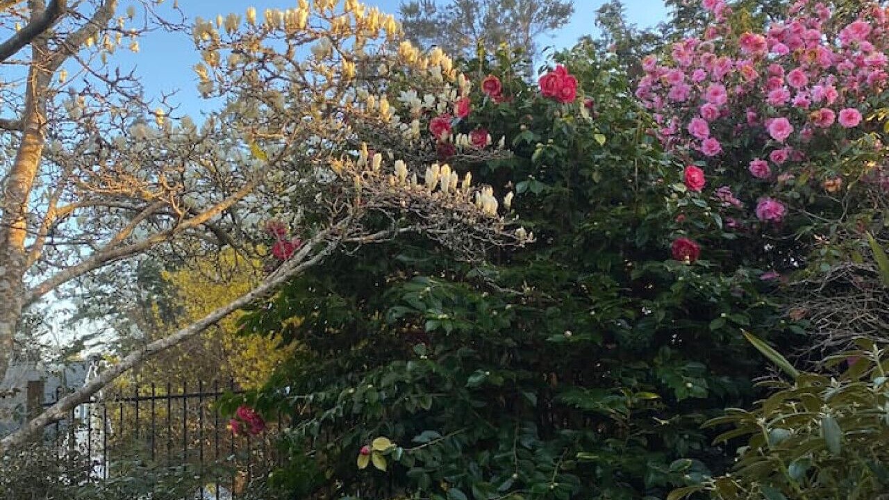Photo of Outdoor in Coos Bay