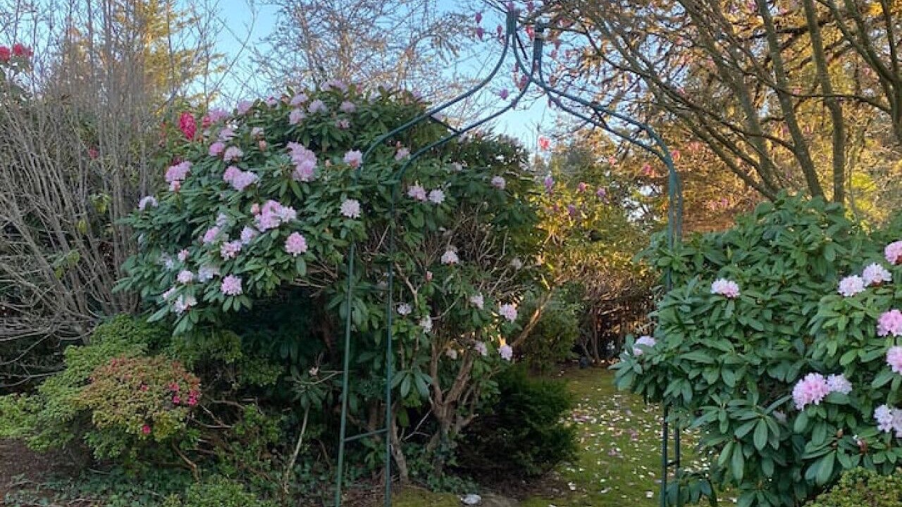 Photo of Outdoor in Coos Bay