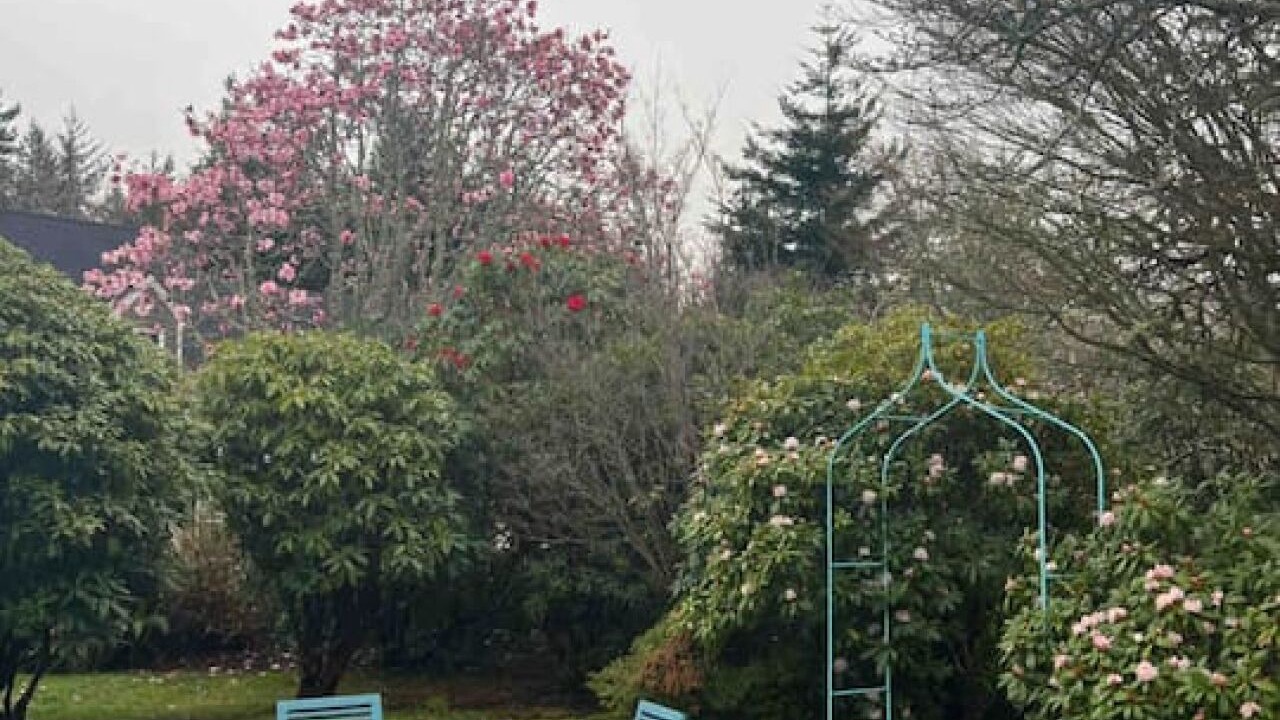Photo of Outdoor in Coos Bay