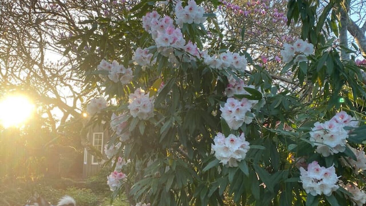 Photo of Outdoor in Coos Bay