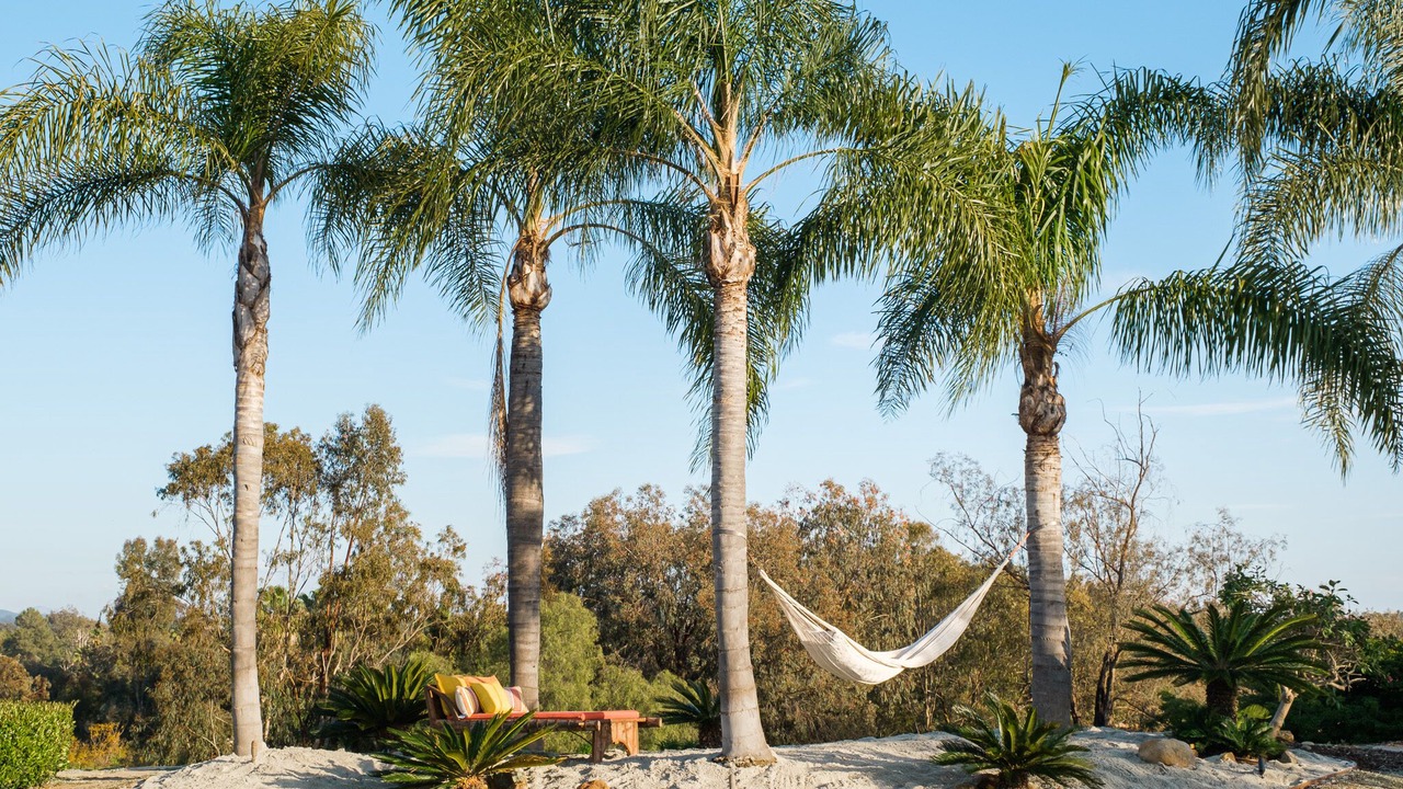 Photo of Others in Encinitas