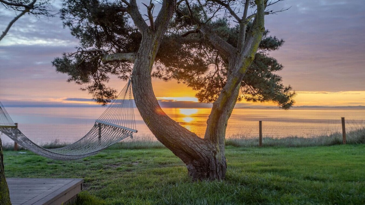 Photo of Others in Oak Harbor