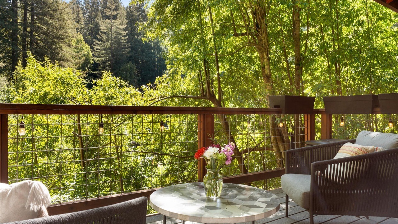 Photo of Others in Guerneville